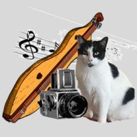 Graphic of dulcimer, music notes, camera, and cat